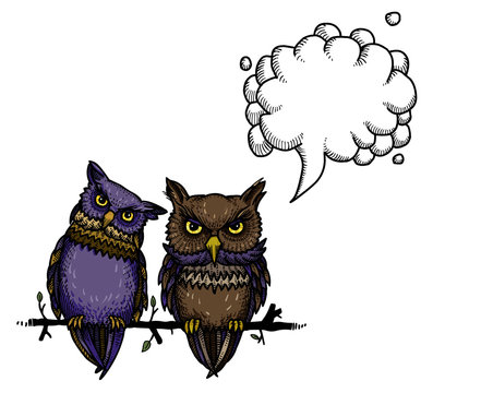 Cartoon image of cute owls. An artistic freehand picture. With speech bubble.