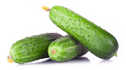 .vitamin harvest of vegetables from three cucumber, pickle, gherkin with green sprigs of fresh isolated on white background