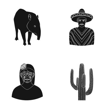 Tapir Mexican animal, a Mexican in national clothes in a poncho, a woman with a flower, a cactus. Mexico country set collection icons in black style vector symbol stock illustration web.