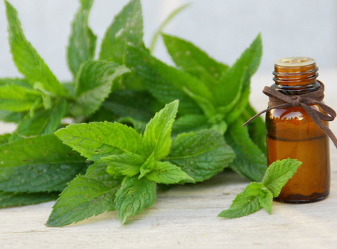 huile essentielle de menthe bio ,fond bois