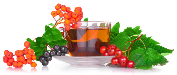 tea with herbs and berries of the hawthorn, mountain ash, chokeberry, with bright green leaves in a clear plastic Cup with saucer isolated on white background