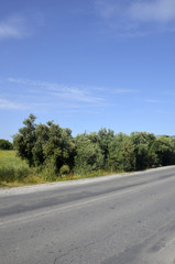 Route vers Pythagorion (Samos)