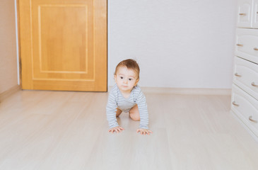 crawling funny baby boy indoors at home