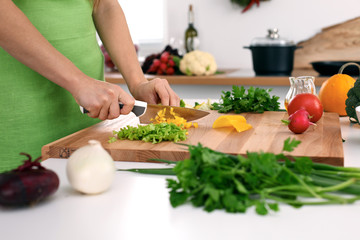 Close up of woman's hands cooking in the kitchen. Housewife slicing fresh salad