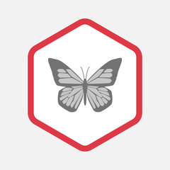 Isolated hexagon with a butterfly