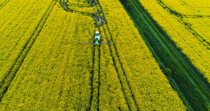 GMO, Agriculture background. Tractor spraying field with pesticides.