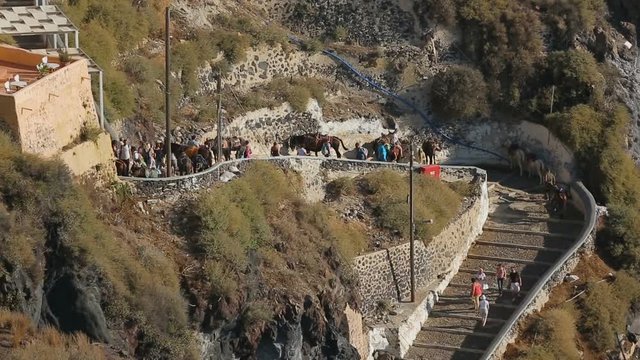 Donkeys and mules offered to tourists for ride around Santorini steep hills
