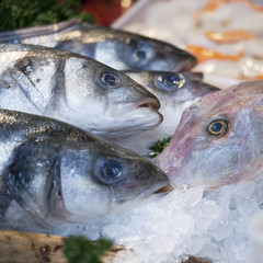 the Wild sea bass for sale at Borough Market, London