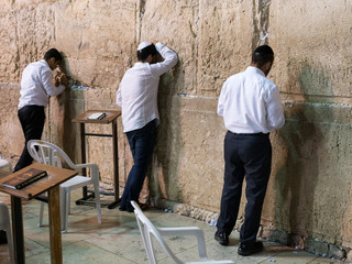 Three different back people with a white shirt and black pants, are praying at the wailing wall, the Kotel, at Jerusalem - Three orthodox men