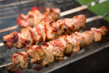 Ruddy shish kebab on skewers