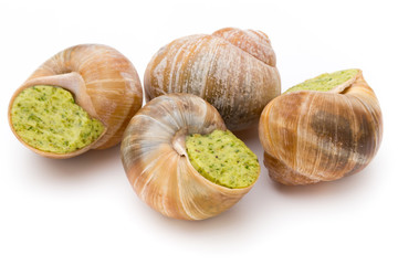 Cooked snails delicacy. French cuisine stuffed snails.