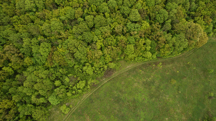 Beautiful landscape forest view from above