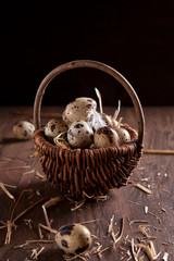 Fresh organic eggs in the basket. Rustic still life