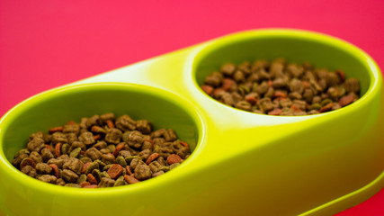 Green bowl full of multicolored dog food