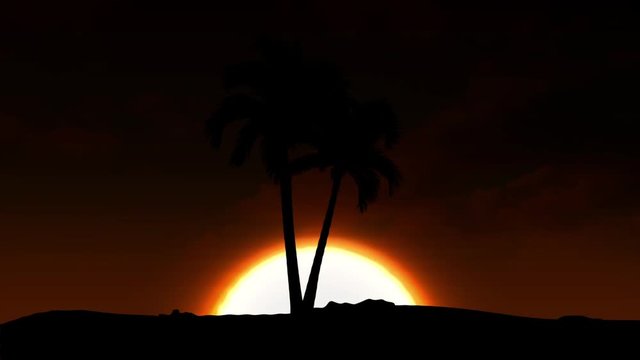 Beautiful sunrise with palm