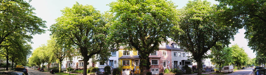 Blühende Kastanienallee in städtischer Wohnstraße - Panorama