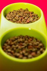 Green bowl full of multicolored dog food