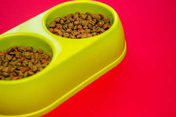 Green bowl full of multicolored dog food