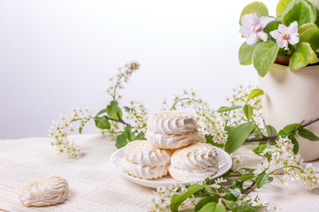 Still life with marshmallows.