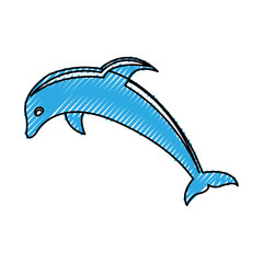 cute dolphin silhouette icon vector illustration design