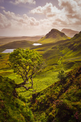 Scenic view of Quiraing mountains in Isle of Skye, Scottish highlands - 155593762