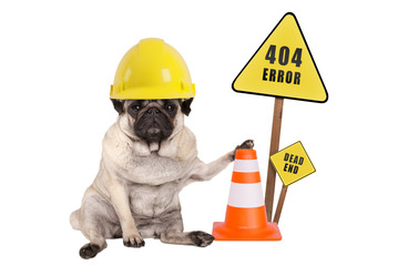 pug dog with yellow constructor safety helmet and cone and 404 error and dead end sign on wooden...