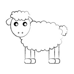 cute sheep drawing character vector illustration design