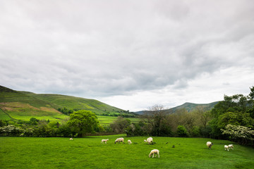  View on the Hills near Edale, Peak District National Park, UK