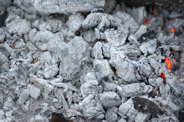 Smoldering ash gray