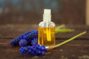 Essential oil of muscari flower on a table in beautiful bottle