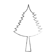 Fototapeta premium christmas tree decorative icon vector illustration design