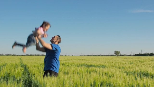 Dad throws the child up. Happy family playing in a field of wheat.