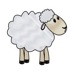 curly lamb christmas  manger religion vector illustration