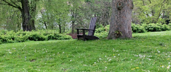 Adirondack chair placed under tree in a park
