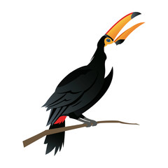 cute cartoon toucan funny cartoon tropical bird from brazil vector illustration