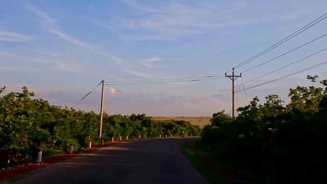 Camera Moves along Shady Road among Green Countryscape