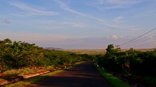 Camera Moves along Shady Road among Green Countryscape