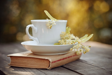 Obraz na płótnie Canvas Lime tea in a white mug and the book on a table.
