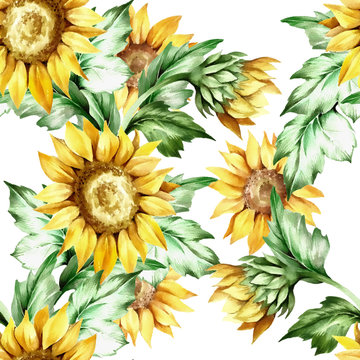 Seamless pattern with sunflower. Hand draw watercolor watercolor 