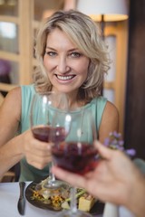 Mature couple toasting their glasses of red wine