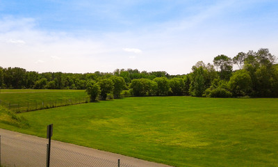 Summer Landscape