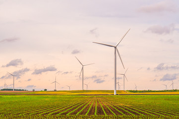 Wind turbines in field in USA midwest farm