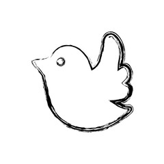 figure dove of twitter icon design, vector illustration