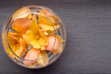 Flowers of begonia float in a  cup on textured background. Flat lay