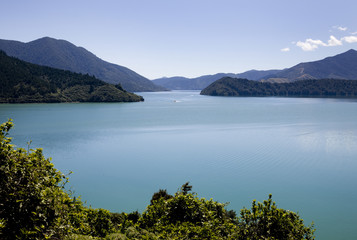 Fototapeta premium View Marlborough New Zealand