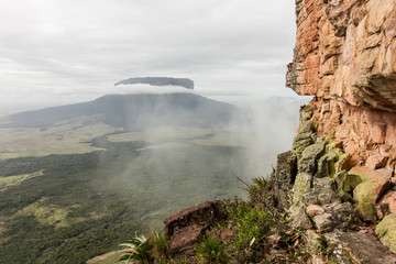 big walls adorn the savannah 