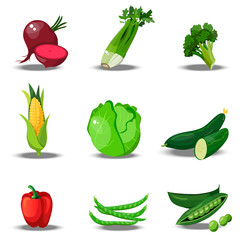 set with fresh healty vegetables