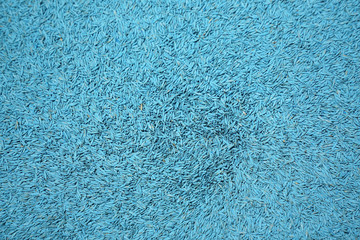 close up on grass seeds in blue color