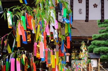 七夕 京都
Tanabata festival, Kyoto Japan - obrazy, fototapety, plakaty