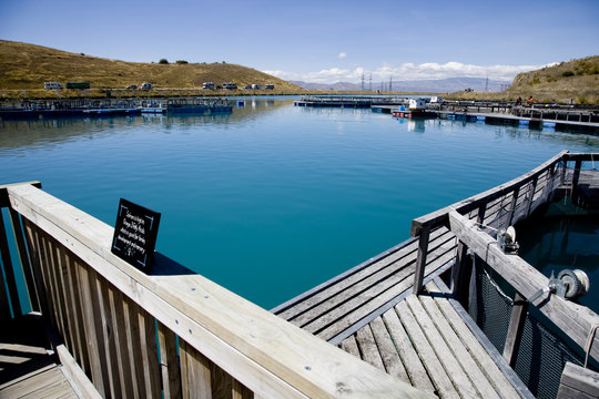 Lake Benmore Salmon Farm